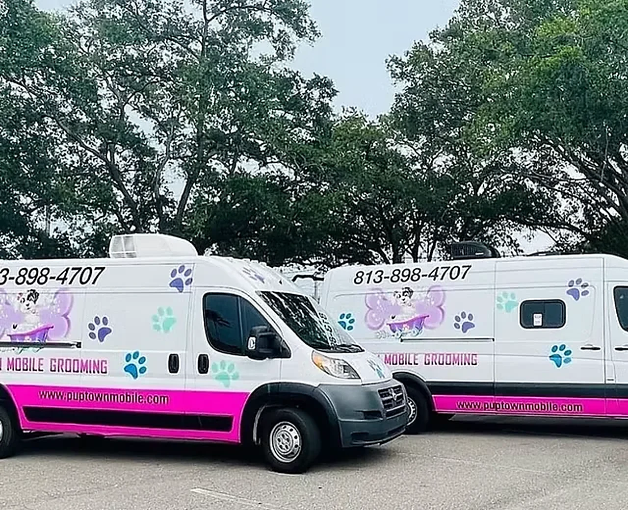 Two white and pink Puptown Mobile Grooming vans